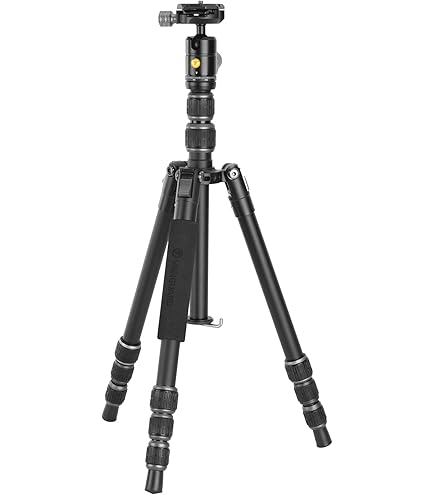 Amazon.com : VANGUARD Abeo Plus 323At Tripod : Electronics