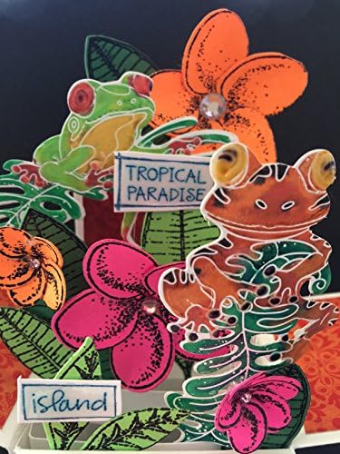 3D Tropical frog pop up card - green and orange jungle pop up box card - Plumeria 3D card in a box - tropical thinking of you pop up card