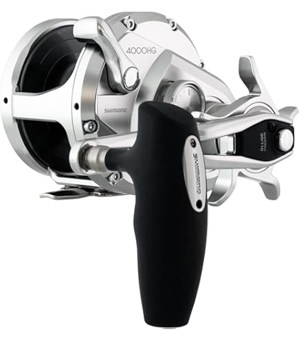 Amazon.com: Shimano Ocea Jigger 1000HG [Japan Import] : Home