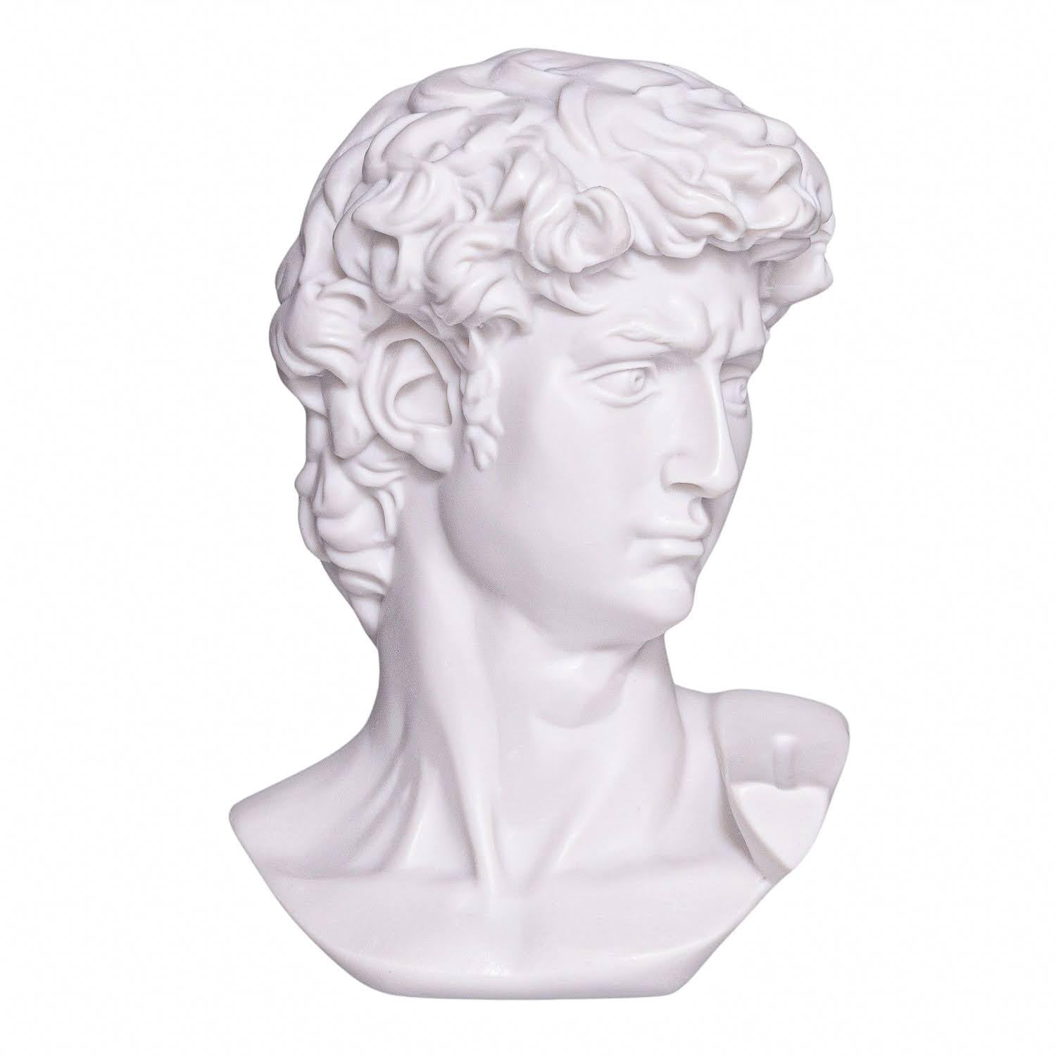 danila-souvenirs Michelangelo David Statue Head Classic Roman Greek Marble Bust Sculpture 15 cm, 770 g