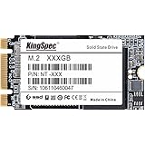 KingSpec NT 2242 256GB SATA M.2 NGFF Internal Solid State Drive (256GB)