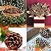Pine Cones, JUSTDOLIFE 100PCS Christmas Pinecone Ornaments Xmas Tree Ornaments Natural Wood Christmas Tree Decoration Crafts Home Ornament for Home Party Holiday Decor(7 Ounce)