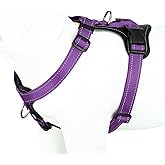 Plutus Pet Adjustable No Pull Dog Harness with Leather Accents, Heavy Duty Reflective Nylon Vest for Training, Hiking, Easy Walk Harness for Small, Medium, Large Dogs (Purple, M)