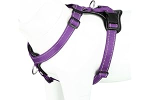 Plutus Pet Adjustable No Pull Dog Harness with Leather Accents, Heavy Duty Reflective Nylon Vest for Training, Hiking, Easy Walk Harness for Small, Medium, Large Dogs (Purple, L)