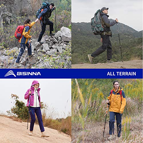 BISINNA Hiking Trekking Poles-2 Pack Adjustable Ultra Strong & Lightweight Aluminum 7075 Collapsible Hiking/Walking Sticks with EVA Grips, Quick Locks, 4 Season/All Terrain Accessories and Carry Bag