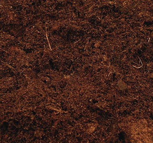 Canna Terra Professional - Bolsa de mezcla de tierra, 50L: Amazon ...