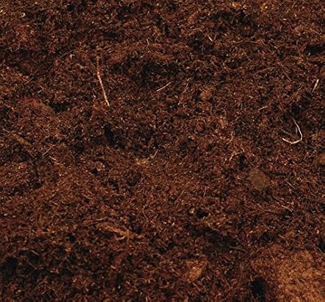 Canna Terra Professional - Bolsa de mezcla de tierra, 50L: Amazon ...