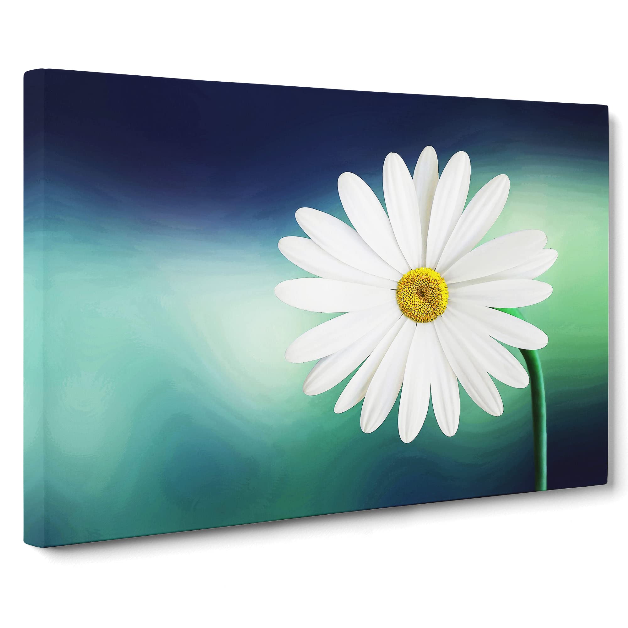 Flower Beautiful White Daisy Canvas Print | Gallery Wrapped 30mm Frame Wall Art | 20x14 inches | Ready to Hang | Modern Floral Picture | Living Room Bedroom Lounge Office