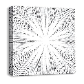 Abstract Visual Illusion Painting for Bedroom Living Room