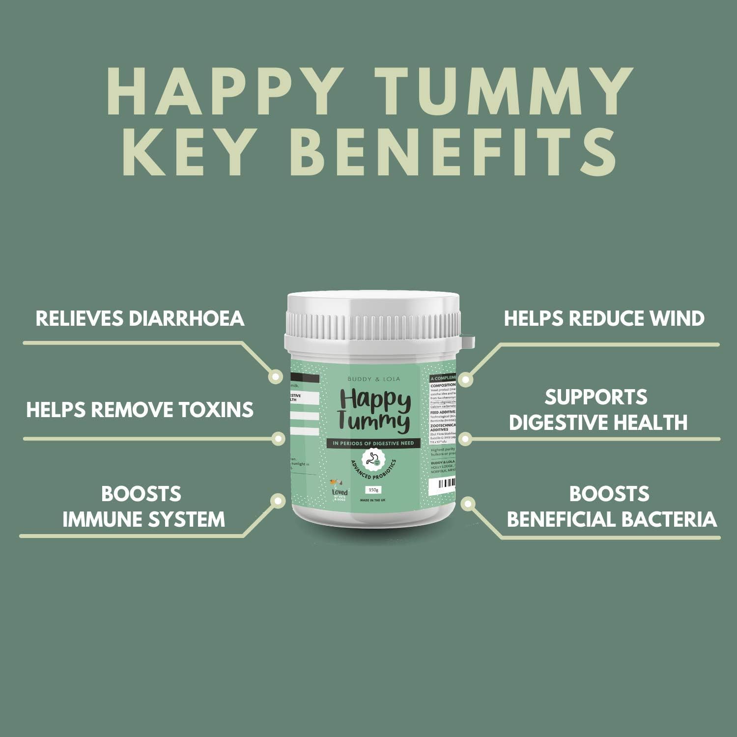 buddy and lola happy tummy