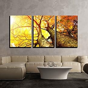 3 Piece Canvas Wall Art - Autumn Trees Fall - Modern Home Art Stretched and Framed Ready to Hang - 16"x24"x3 Panels