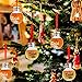 MyMealivos Festive Boozeballs Fillable Christmas Baubles, Medium, Clear(Round)…