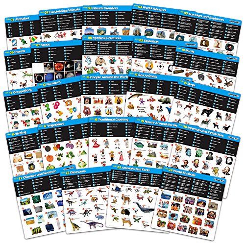 Best Learning Connectrix