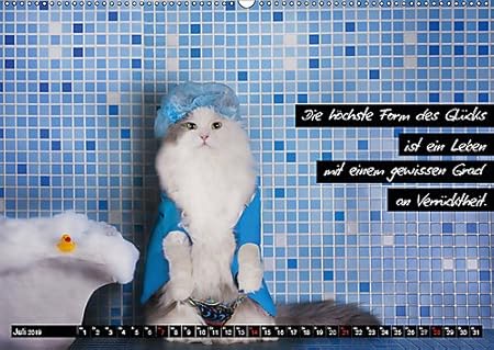 Download Zitate ueber katzen Desktop Wallpaper