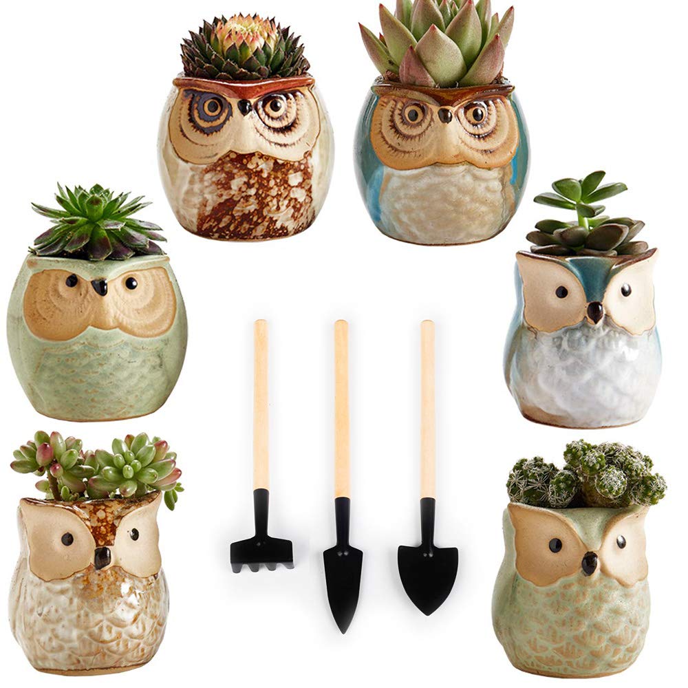 35 Great Gifts For Urban Gardeners