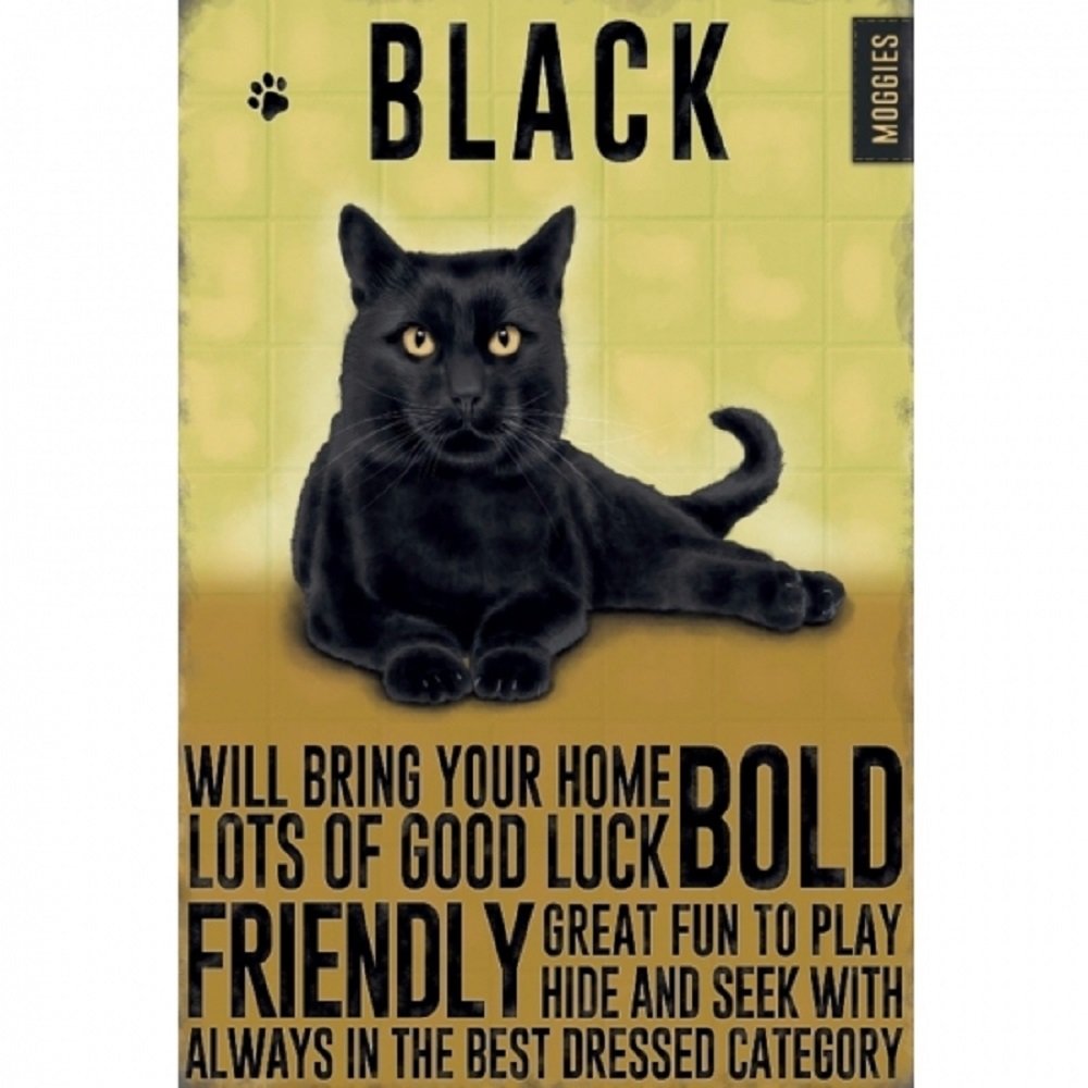 Moggies - Metal Wall Sign/Plaque - Black Cat
