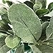Aisamco 6 Pcs Artificial Flocked Lambs Ear Leaf Spray Rabbit Ear Leaf in Silver Green Fake Plants Artificial Greenery Wedding Bouquet Artificial Plants Green Leaf Floral Arrangement