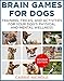 Brain Games for Dogs:Training, Tricks and Activities for Your Dog's Physical and Mental Wellness. IMPROVED Edition (Puppy Training,Dog health, Dog training, ... games for dogs, How to train a dog Book 1)