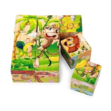 TOYMYTOY 9Pcs Childrens Puzzle Toy Wooden Jigsaw Six Sides Draw 3D Three-Dimensional Blocks (Forest Animals)