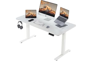 Deroavixe Electric Standing Desk, Height Adjustable Desk with 4 Memory Settings, 55 x 28 Inches, Home Office Workstation (White Desktop + White Frame)