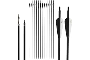 S F 28 30 inch Carbon Arrow Practice Hunting Arrows Spine 500 for Compound & Recurve Bow(Pack of 12)