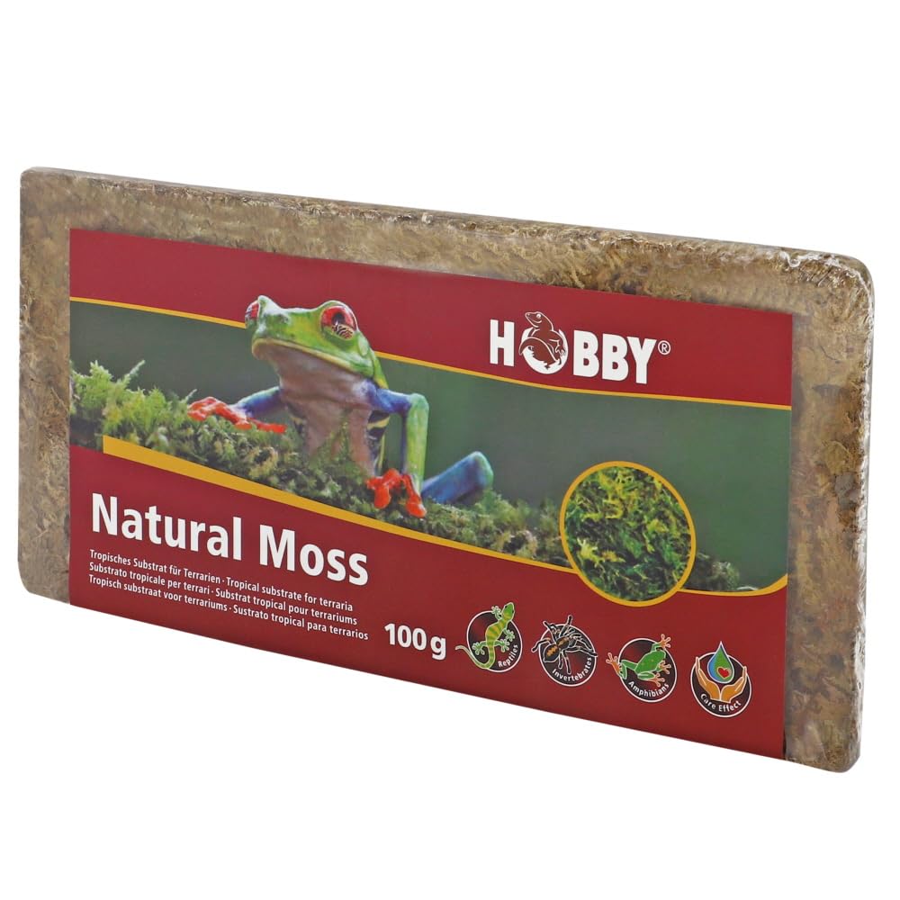 Dohse Aquaristik 34174 Natural Moss