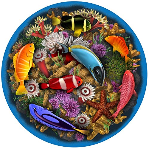 Compare Price swimming pool decals on