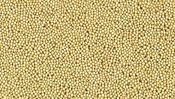 Takething White Mustard 100gms 1 Pkt Amazon In Home Kitchen