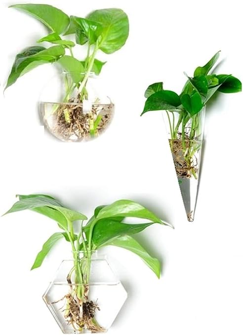 Amazon Co Jp Whdz 壁掛けガラス花瓶 おしゃれ 花瓶 庭用diy装飾品 多肉植物容器 部屋 玄関 リビング プレゼント 贈り物 飾り 3個セット ホーム キッチン