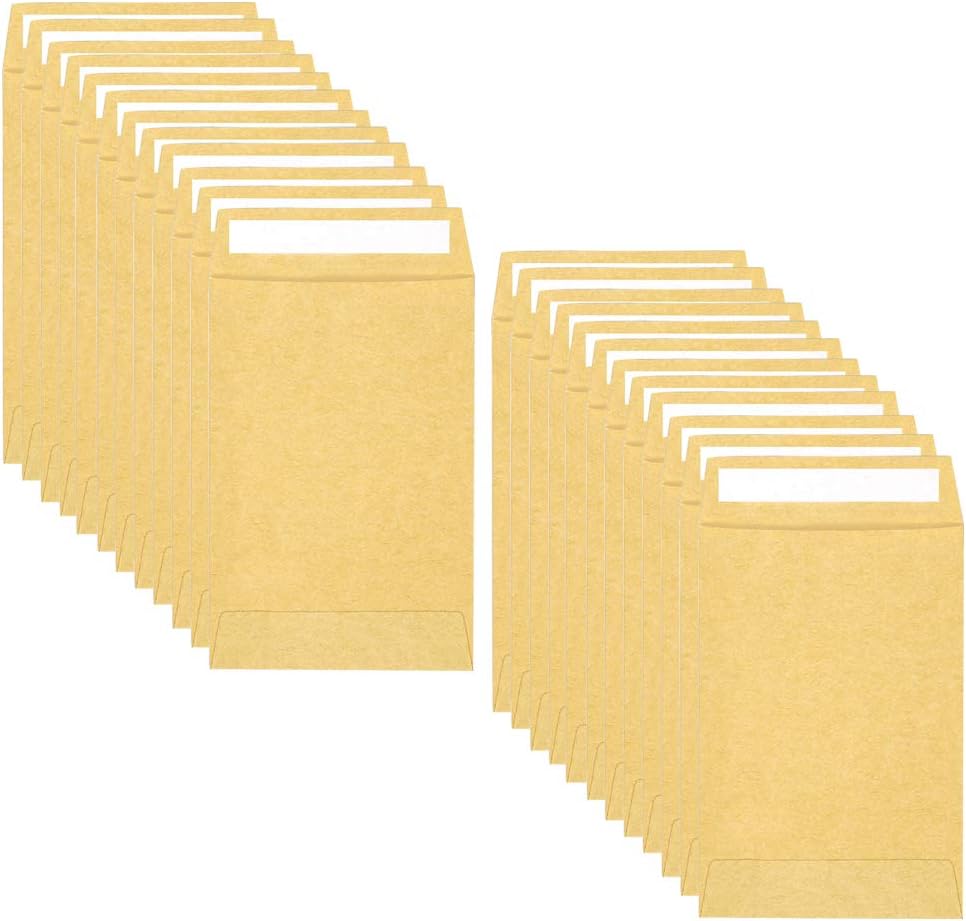 QincLing 100 PCS Coin Envelopes