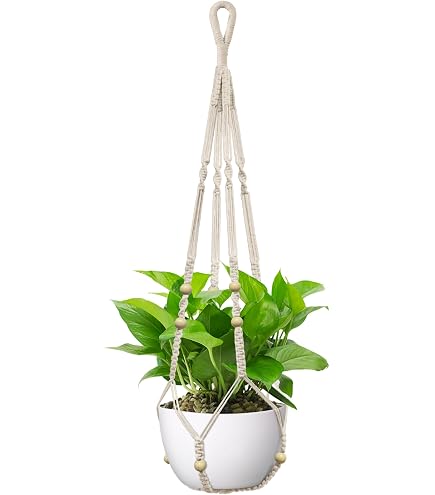 hanging plants pots small hanging pot (pack of 20)  Unsolicited Plant Talks