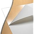 Amazon.com: StewMac Clear Pickguard Material, 220mm x 290mm x 0.3mm ...