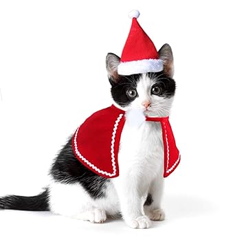 Yundxi Weihnachtskleidung Für Haustier Hund Katzehaustier Kostüm Weihnachtszusatz Katze Hut Umhang Hundekostüm Cosplay Kostüme