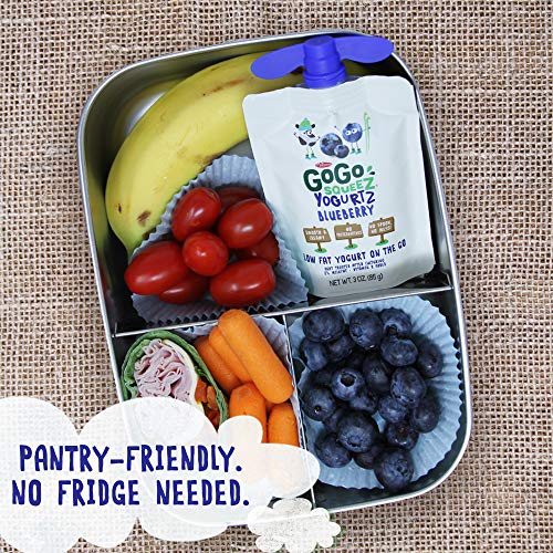 5 GoGo+Blueberry+Portable+BPA+Free+Gluten+Free