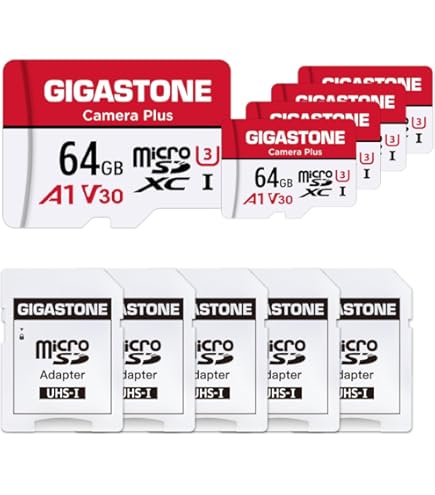 Amazon.com: 【for Switch 1 Only】 GIGASTONE Micro SD Card 128GB 5