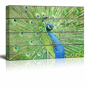 Canvas Wall Art - Peacock Spreading Its Tail on Vintage Wood Textured Background - Rustic Country Style Modern Giclee Print Gallery Wrap Home Decor- 12" x 18"