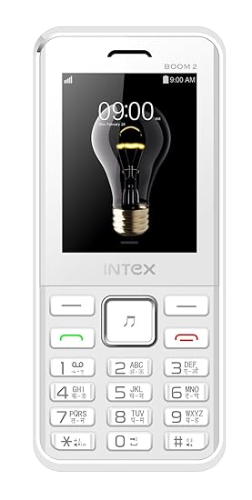 intex boom 2
