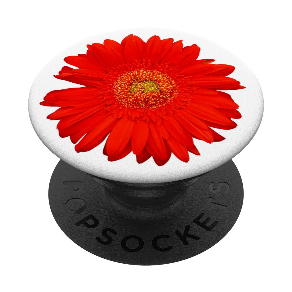 Red Gerber Daisy Flower Floral Gift PopSockets Grip and Stand for Phones and Tablets