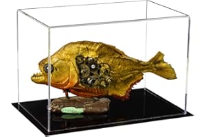 Better Display Cases Versatile Acrylic Clear Display Case - Small Rectangle Box with Black Base 9.5" x 6" x 6.75" (A005-CDS)