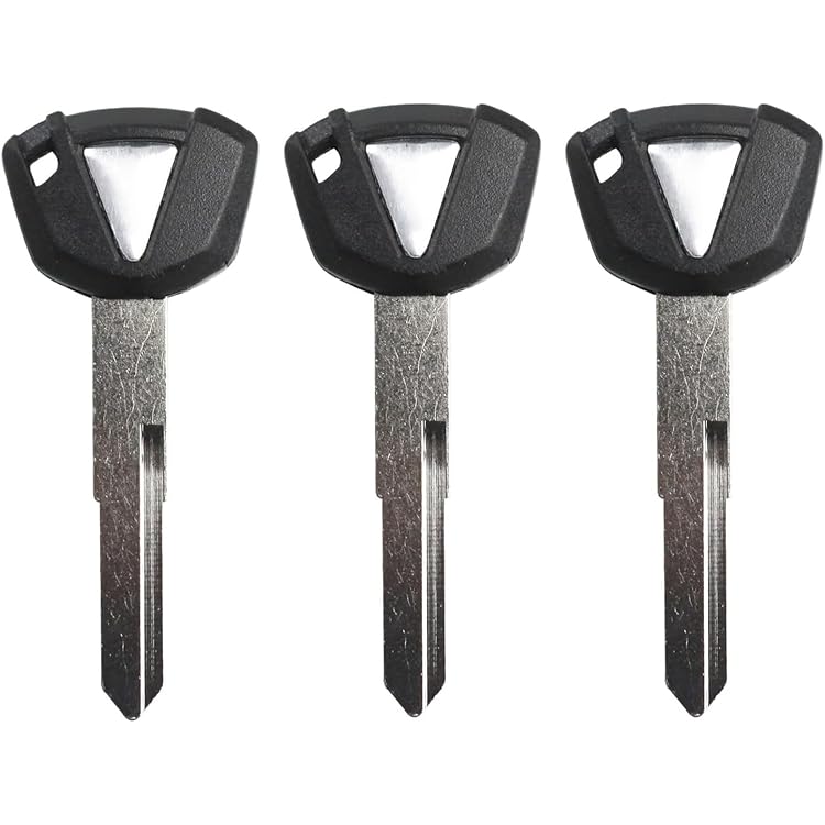 Amazon.com: ihave Replacement For Blank Key Uncut Ninja Vulcan