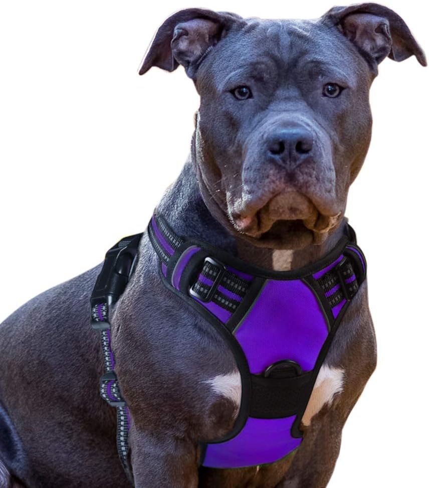 Eagloo Dog Harness Medium, No Pull Harness with Front Back Clips, Adjustable Dog Walking Vest, Soft Padded Pet Vest