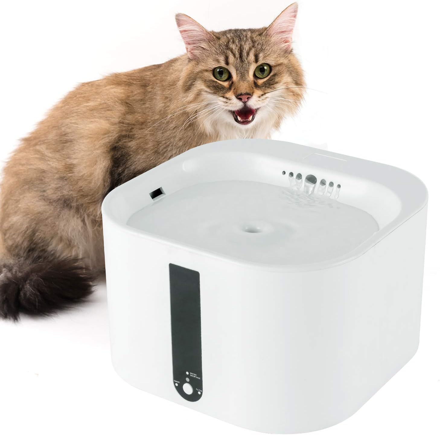 battery operated cat fountain