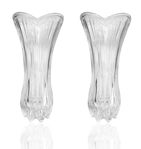 Buy Raaya Combo Set Of 2 Crystal Glass Flower Vases For Home Decor