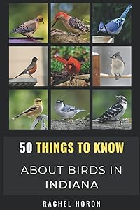 kindle best category lists