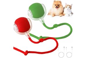 DINGLIAN 2 Pack Interactive Cat Toy Balls for Indoor, Interactive Puppy Toys Ball with Tail, Automatic Activate Cat Toys with