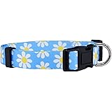 daisy collar