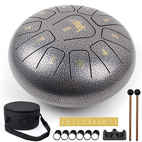 AKLOT Steel Tongue Drum10 inch 11 Notes Tank Drum C Key Percussion Steel Drum Kit with Drum Mallets Note Stickers Finger Picks Mallet Bracket and Gig Bag