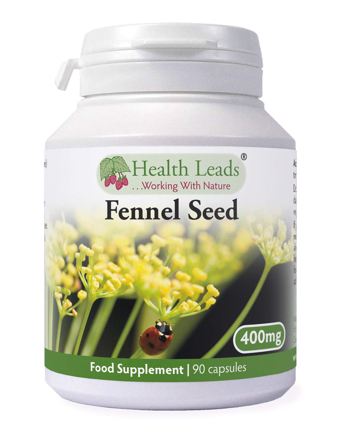 Fennel Seed 400mg x 90 Capsules (100% Additive Free Supplements)