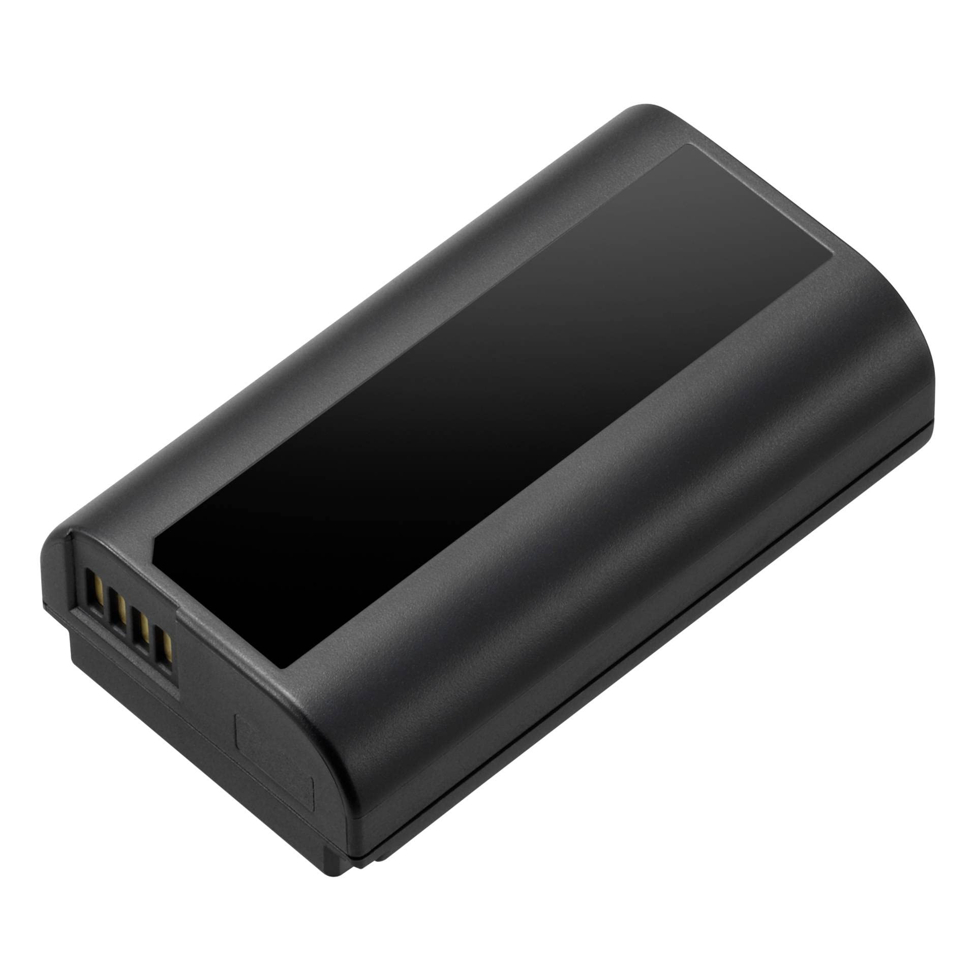 Panasonic Battery DMW-BLJ31E for S1 and S1R