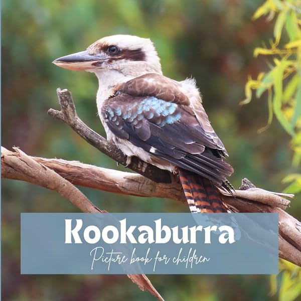Kookaburra: Saxby, Claire, Harricks, Tannya: 9781536215199: Amazon